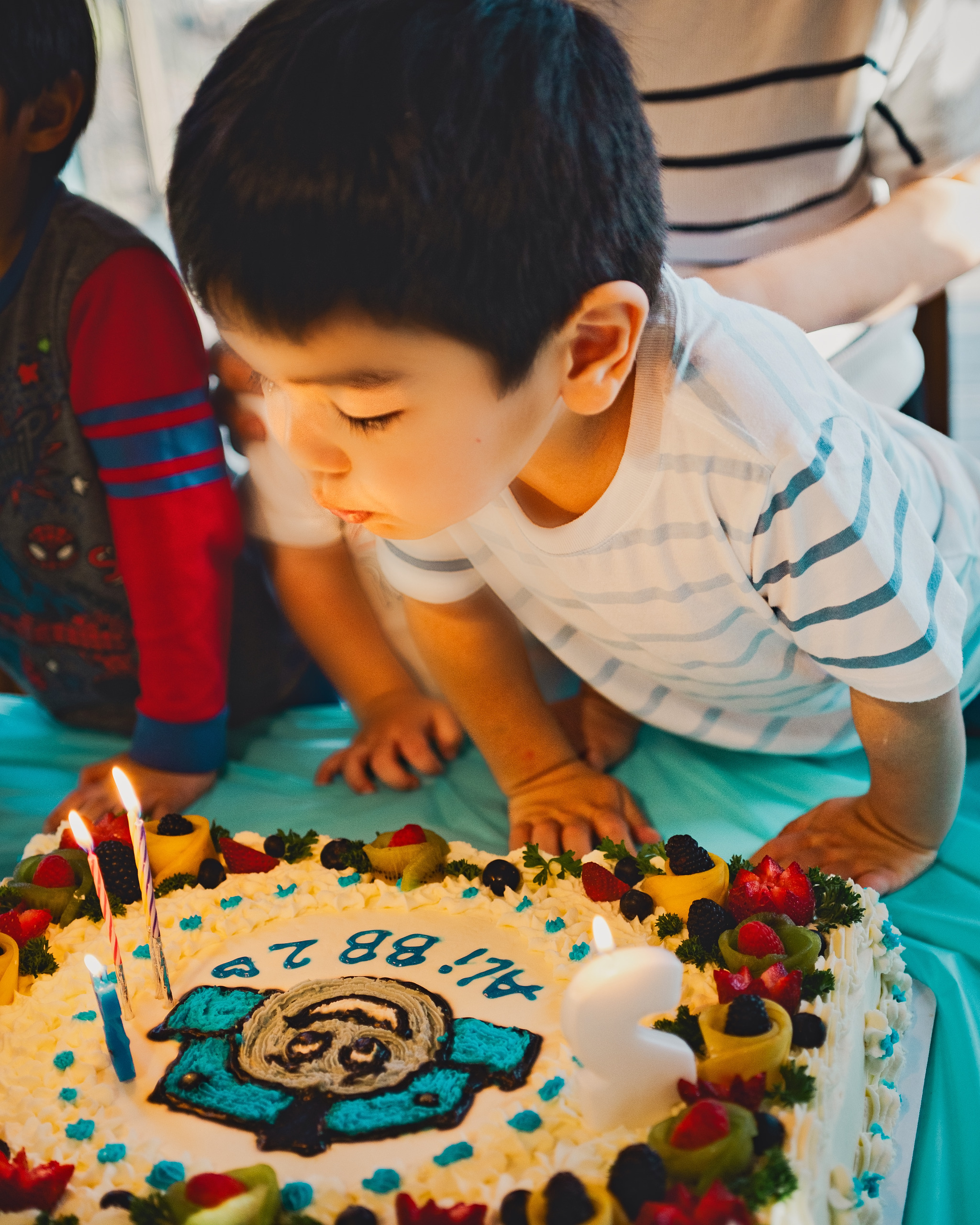 Boy blowing out the candles on his birthday cake — Twin Cities family photography by Loon & Birch Photography