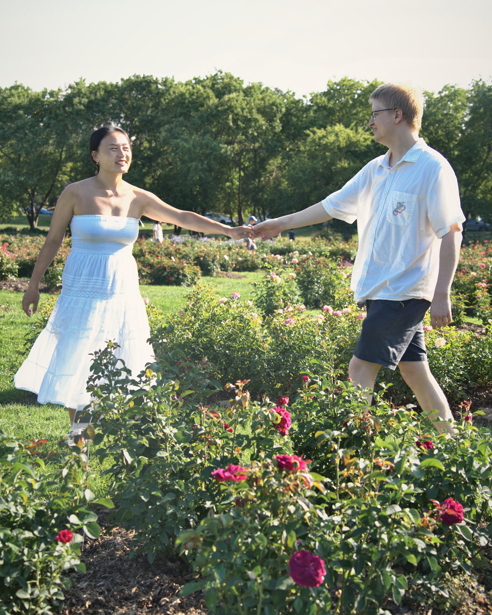 Couple holding hands as they stroll through a summer rose garden — Twin Cities couples and engagement photography by Loon & Birch Photography