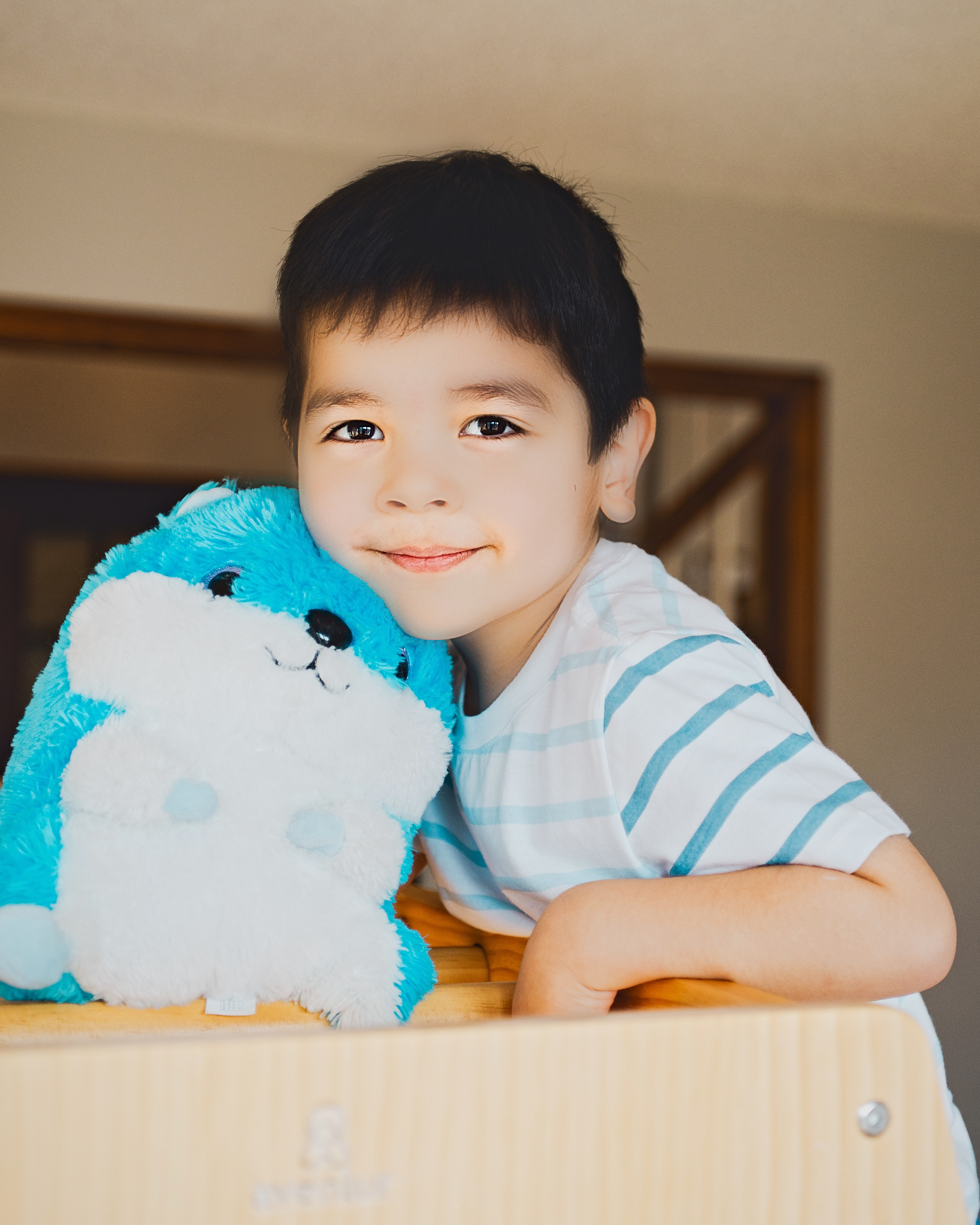 Young boy hugging a plush toy in soft window light — Twin Cities family photography by Loon & Birch Photography