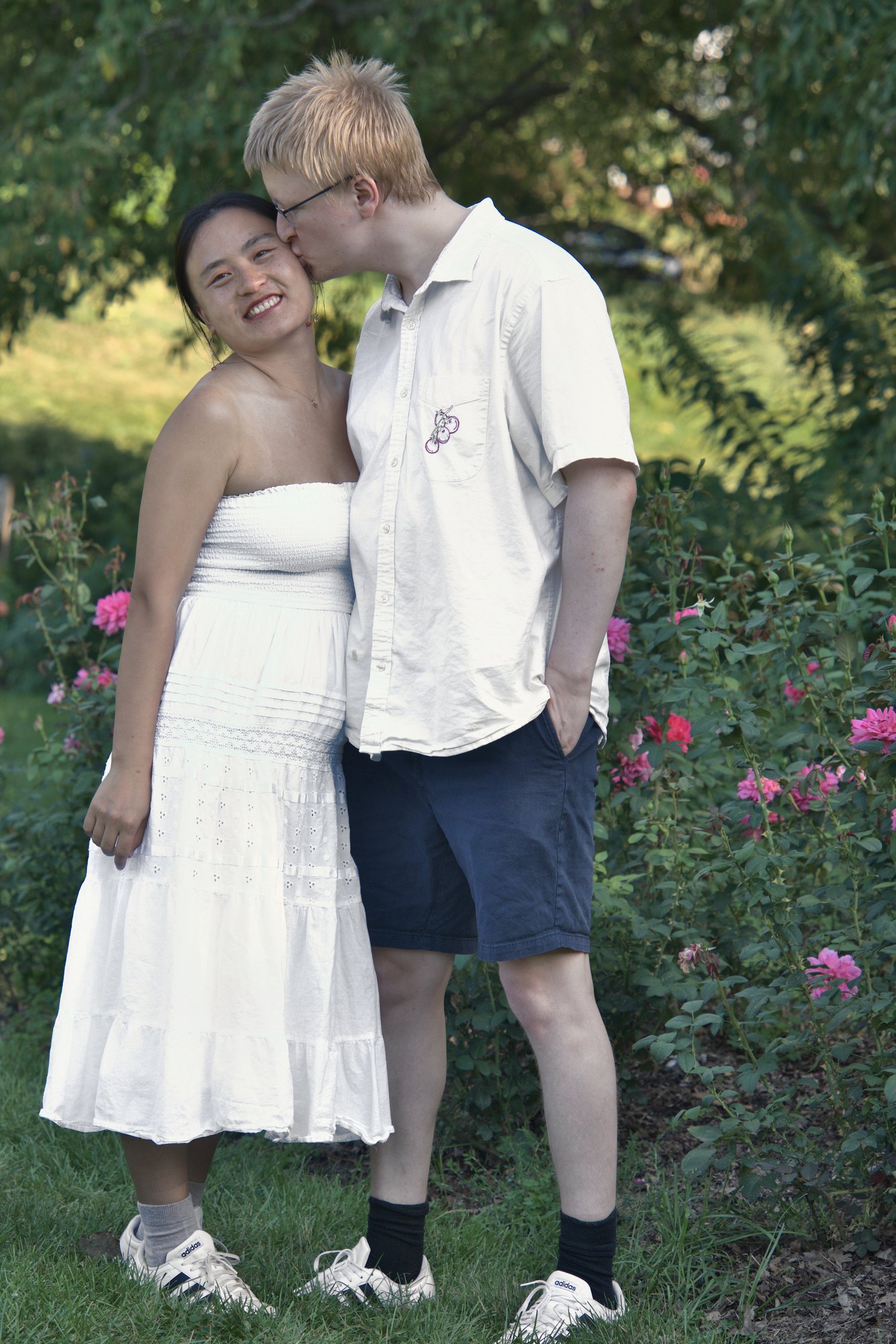 Man kissing his partner's cheek beside blooming pink roses — Twin Cities couples and engagement photography by Loon & Birch Photography